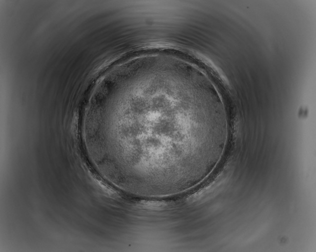 X0000101470825200807141349