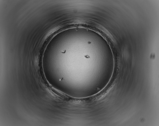 X0000101470826200807141349