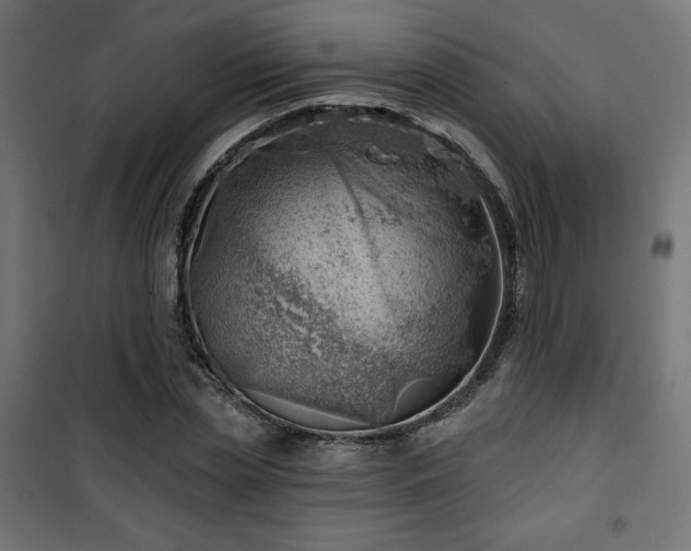 X0000101470829200807141349