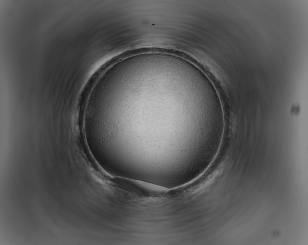 X0000101470830200807141349