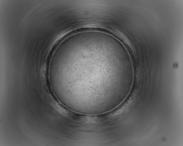 X0000101470831200807141349