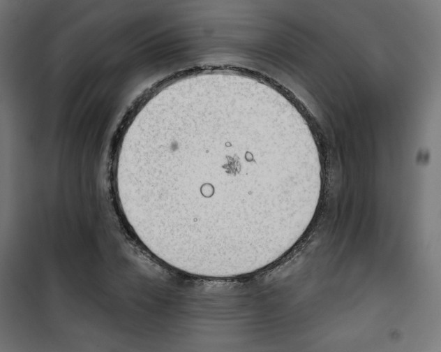 X0000101470832200807141349