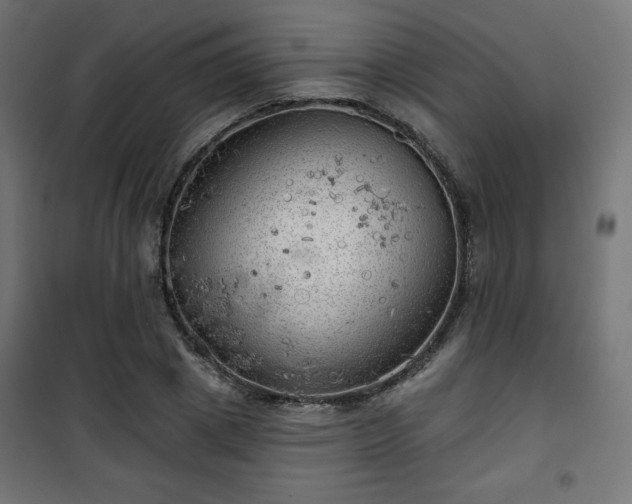 X0000101470833200807141349