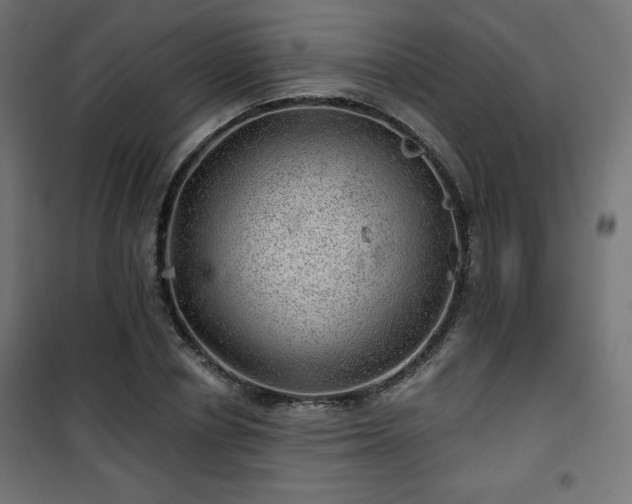 X0000101470834200807141349