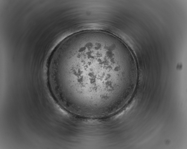 X0000101470835200807141349