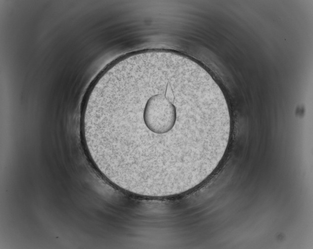 X0000101470836200807141349