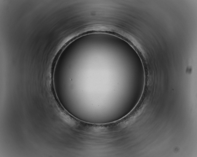 X0000101470837200807141349