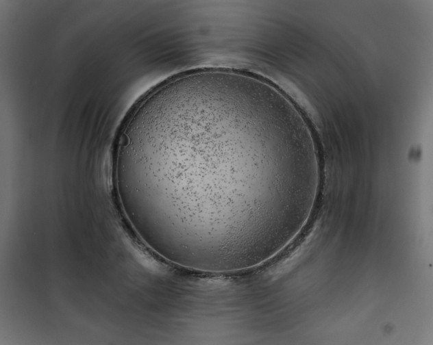 X0000101470838200807141349