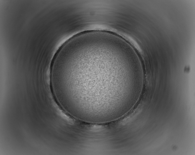 X0000101470839200807141349