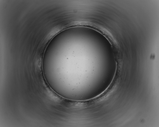 X0000101470841200807141349