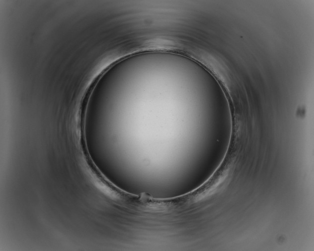 X0000101470843200807141349