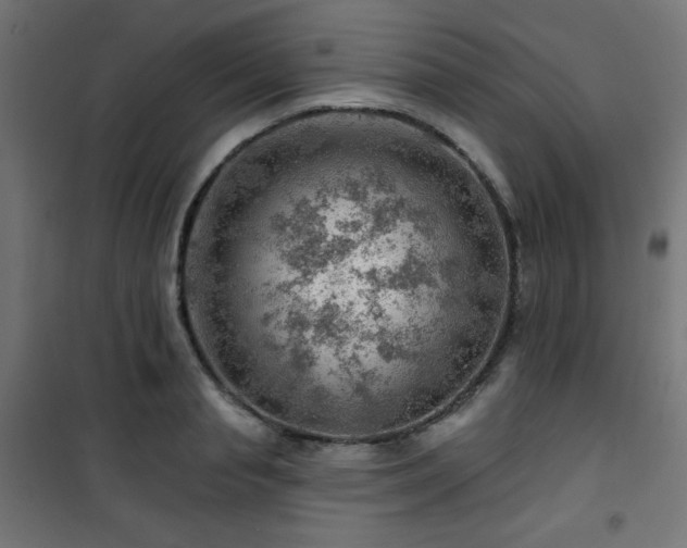 X0000101470845200807141349