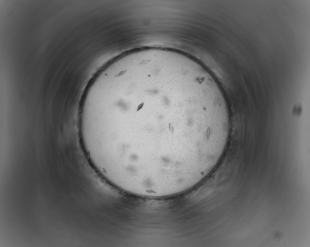 X0000101470848200807141349