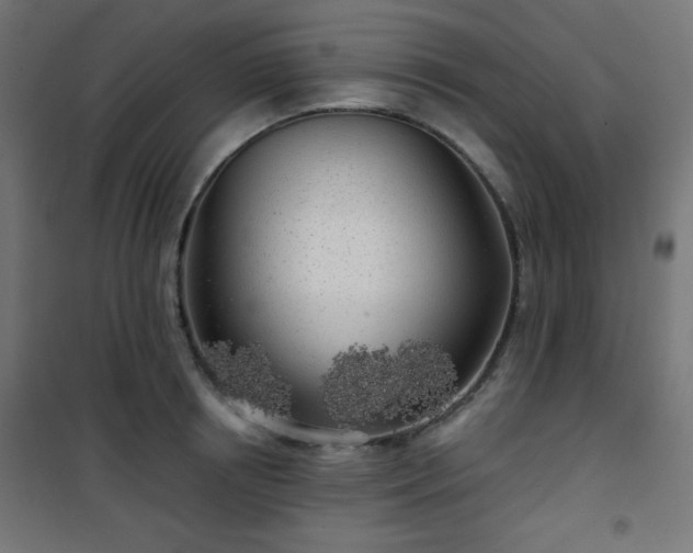 X0000101470850200807141349