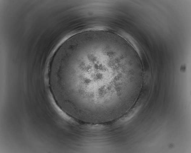 X0000101470851200807141349