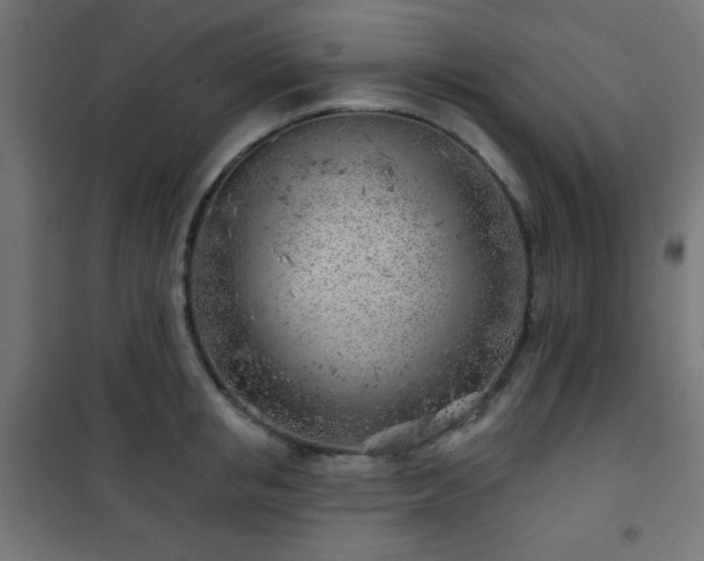 X0000101470853200807141349