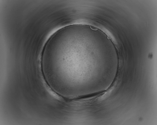 X0000101470854200807141349