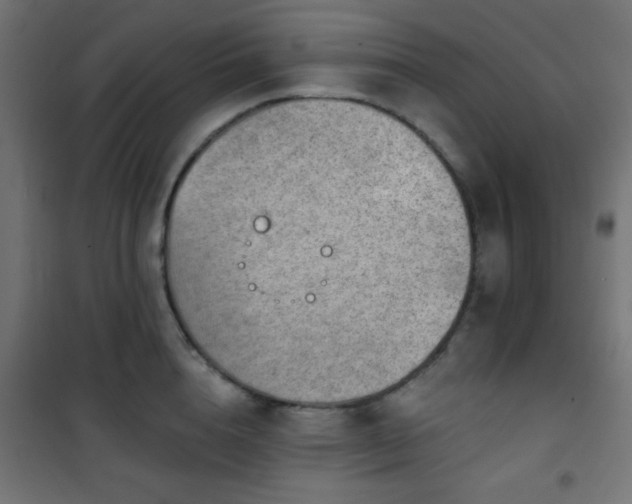 X0000101470856200807141349