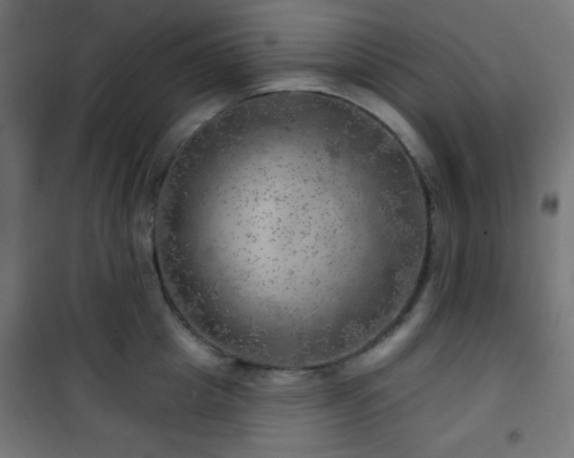 X0000101470857200807141349