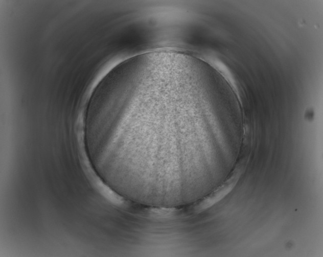 X0000101470859200807141349