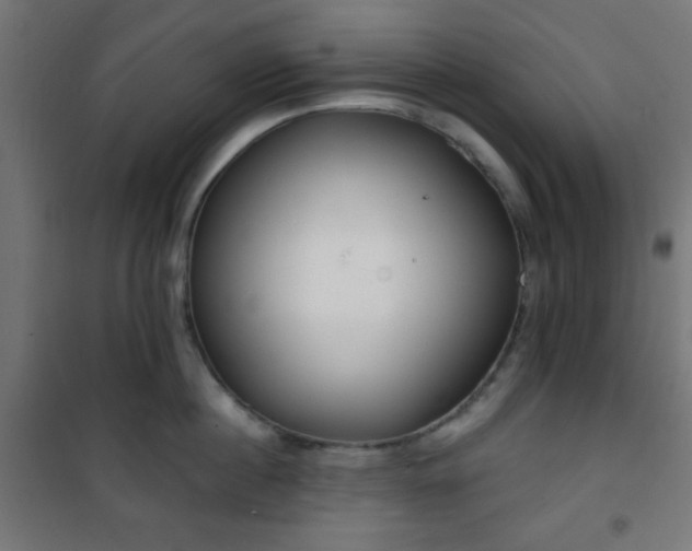 X0000101470860200807141349