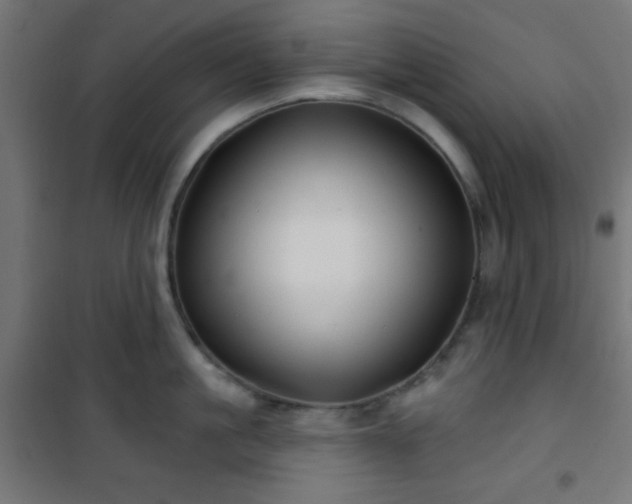 X0000101470861200807141349