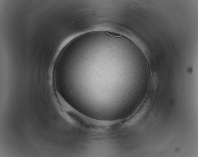 X0000101470862200807141349