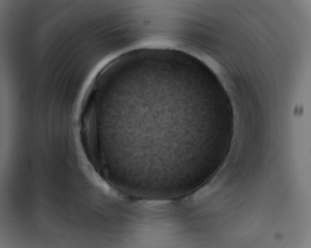 X0000101470864200807141349