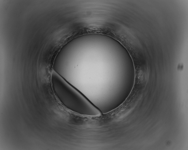 X0000101470868200807141348