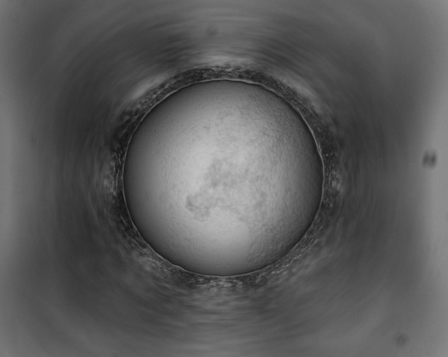 X0000101470869200807141348