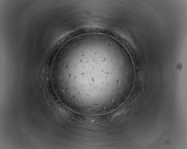 X0000101470870200807141348