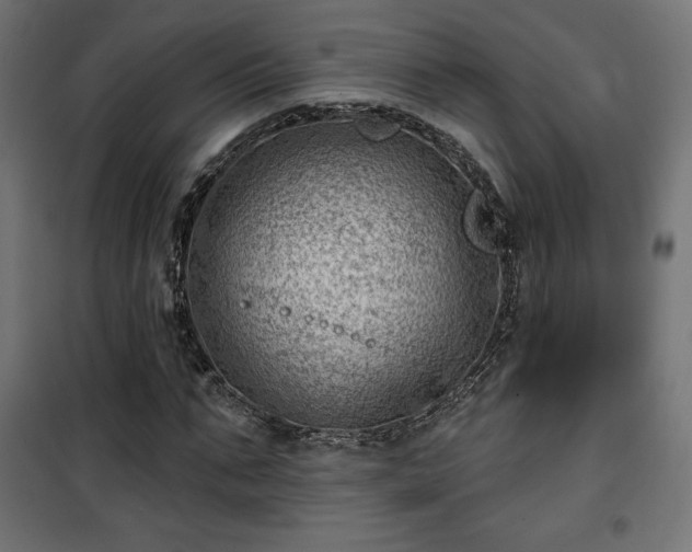 X0000101470871200807141348