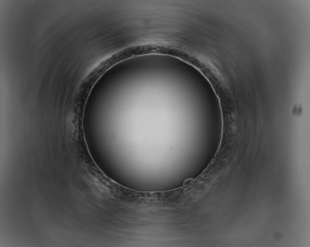 X0000101470872200807141348