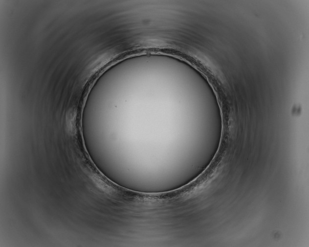 X0000101470873200807141348