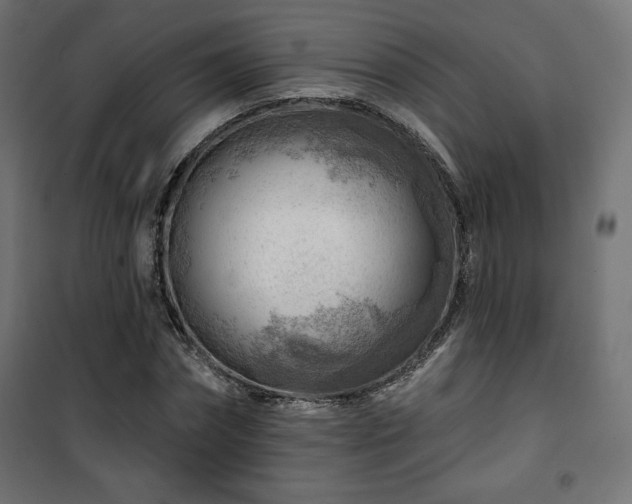 X0000101470874200807141348