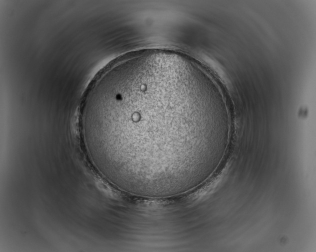 X0000101470875200807141348