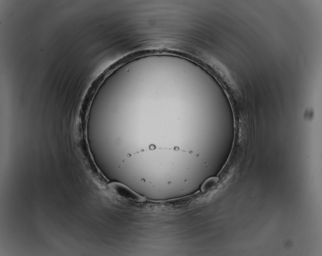 X0000101470876200807141348