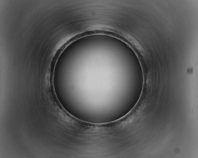 X0000101470877200807141348