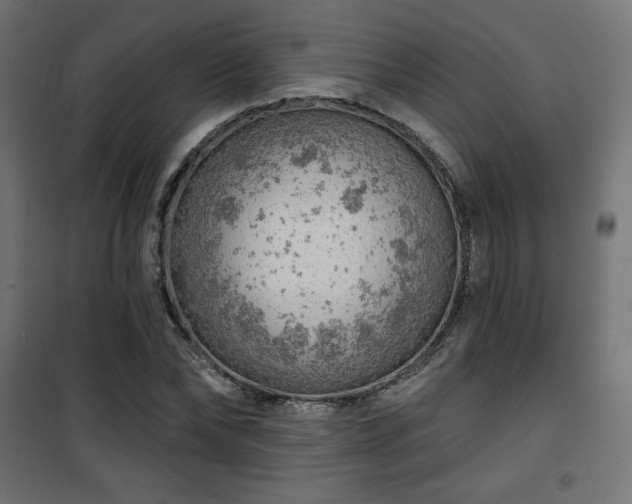 X0000101470878200807141348