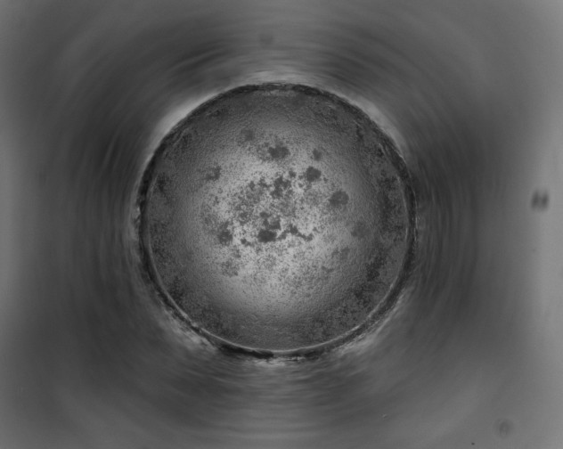 X0000101470879200807141348