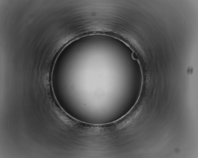 X0000101470881200807141348