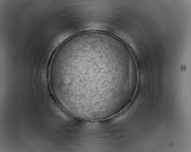 X0000101470882200807141348