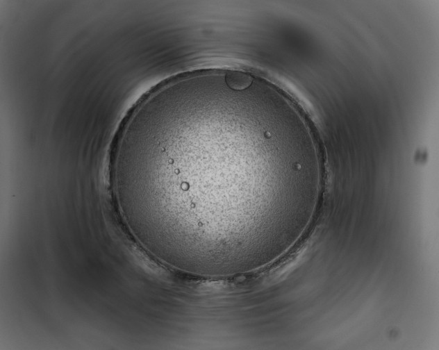 X0000101470883200807141348