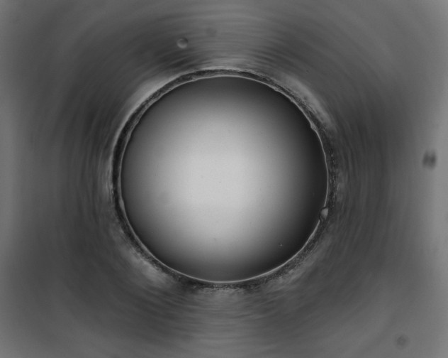 X0000101470884200807141348