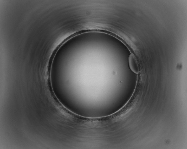 X0000101470885200807141348