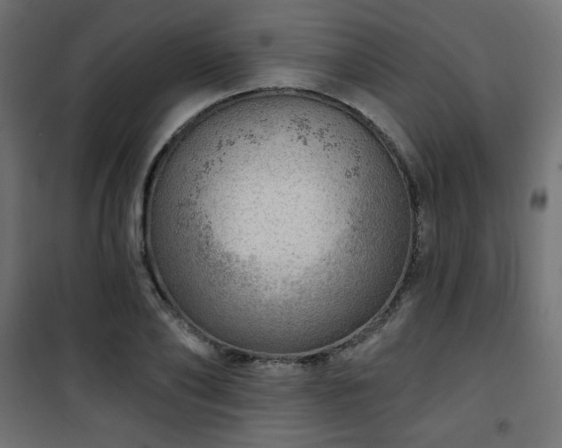 X0000101470886200807141348