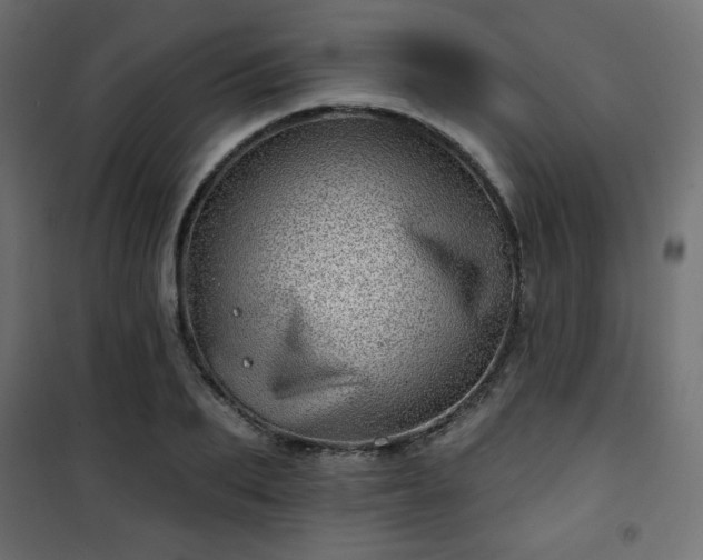 X0000101470887200807141348