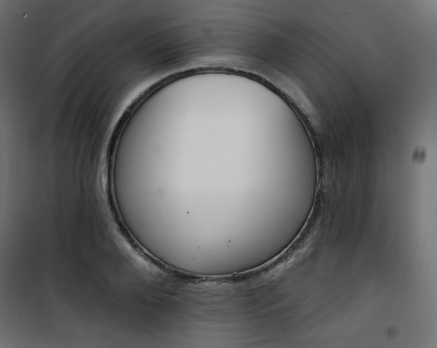 X0000101470888200807141348