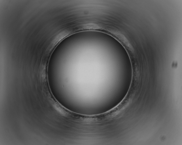 X0000101470889200807141348