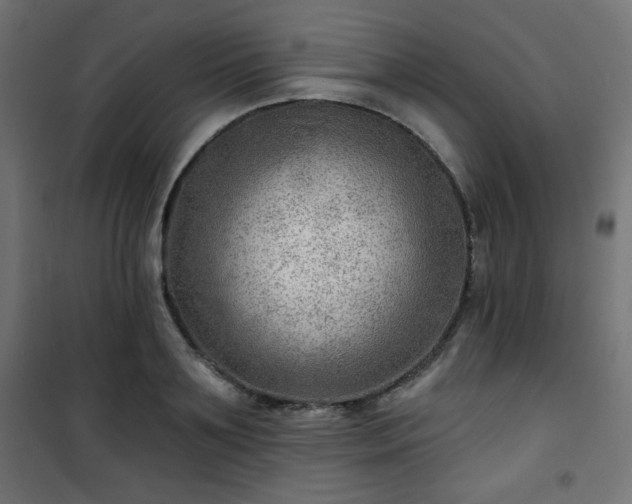 X0000101470891200807141348